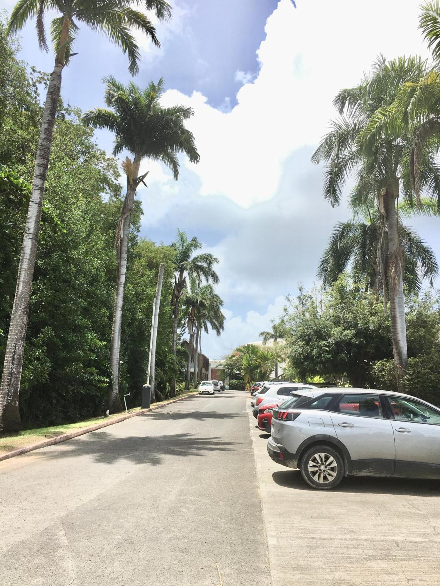 Appartement St Francois Manganao Guadeloupe แซงต์-ฟรองซัวส์ ภายนอก รูปภาพ
